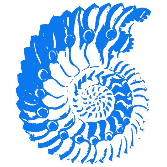 Leisures Surfwear Gift Card